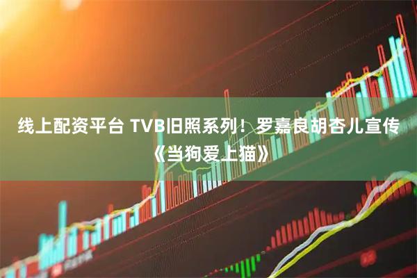 线上配资平台 TVB旧照系列！罗嘉良胡杏儿宣传《当狗爱上猫》
